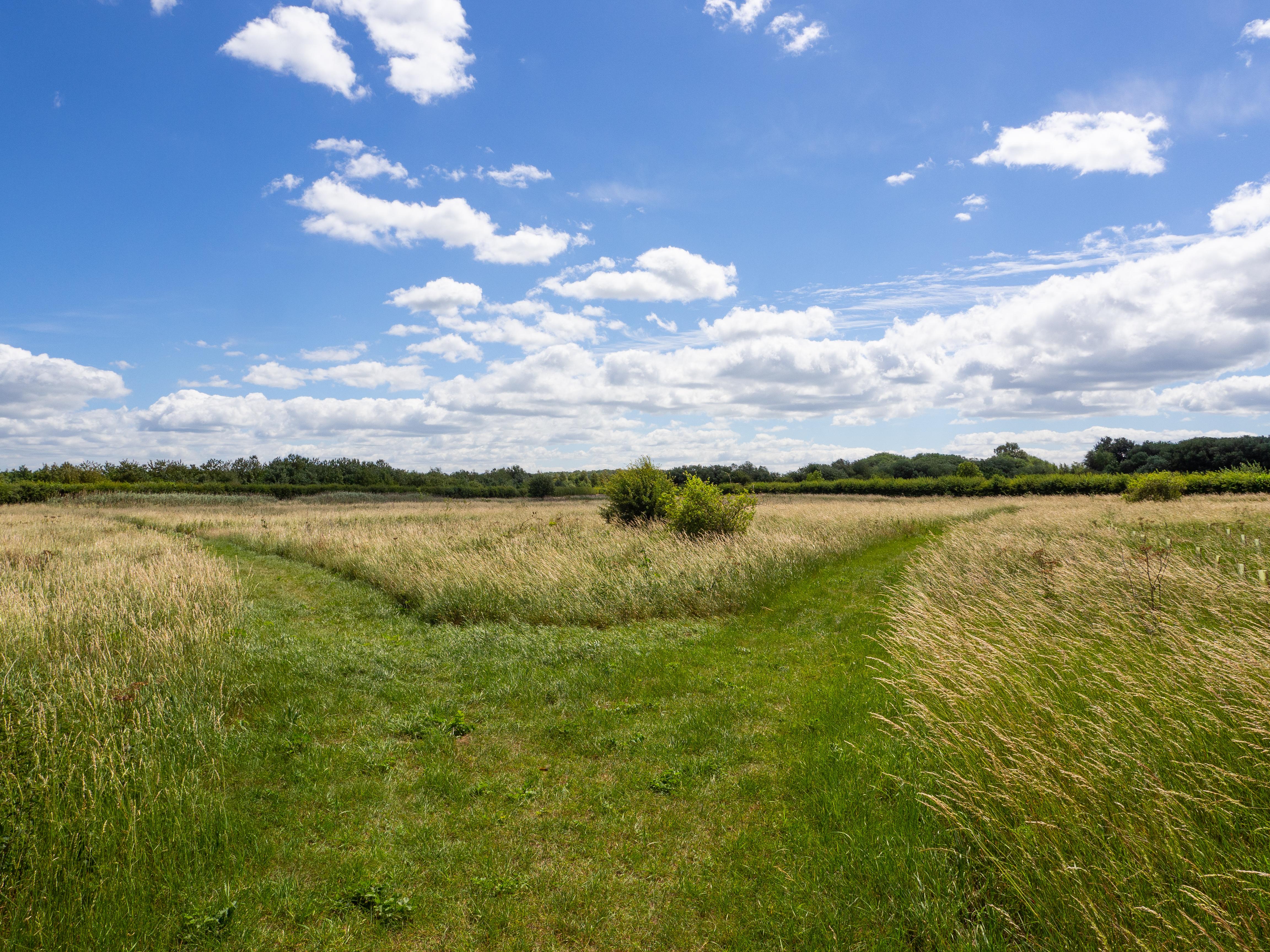 Barlings Nature Reserve