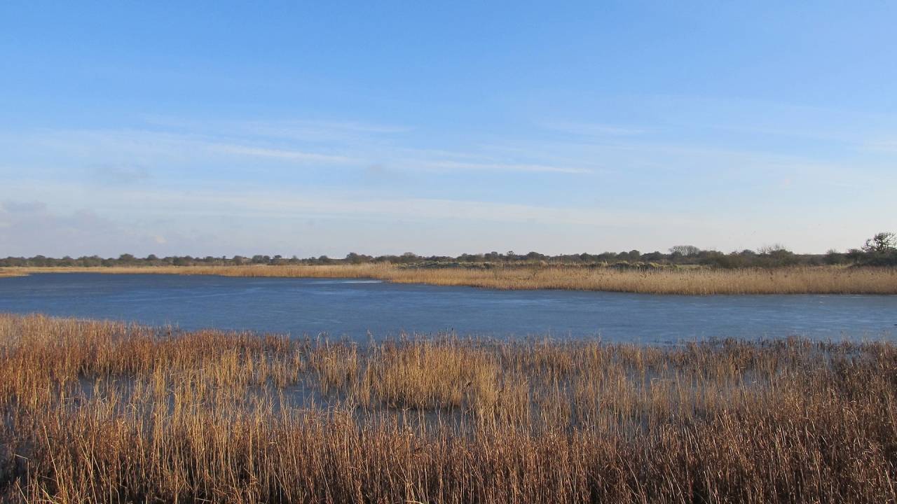 Gibraltar point nature reserve