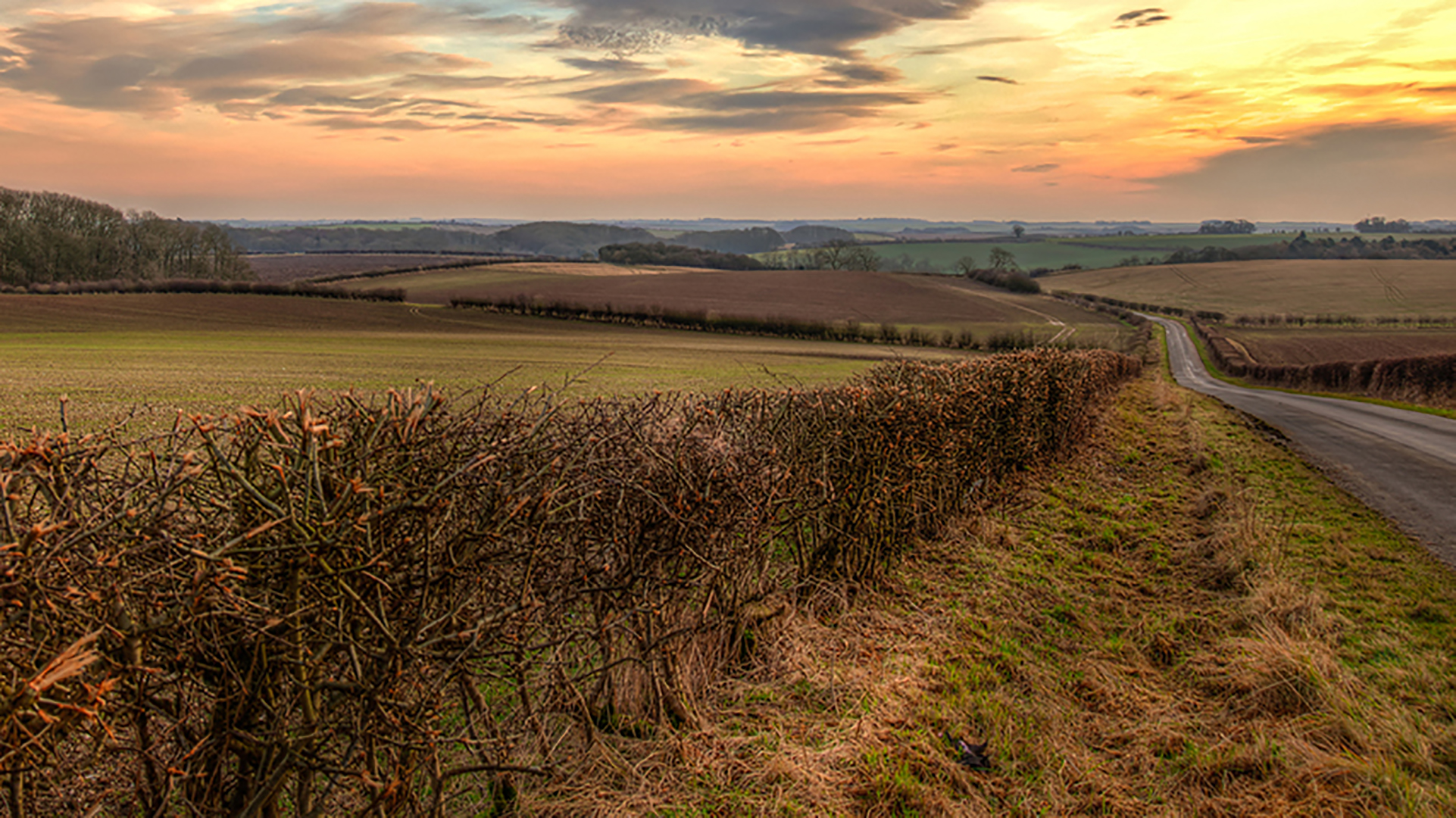 Lincolnshire wolds image