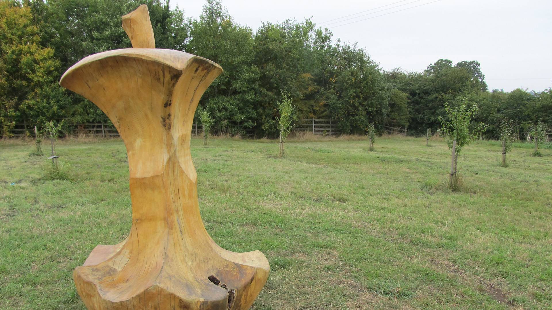 Mareham Pastures Local Nature Reserve