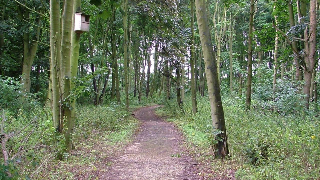 South Thoresby Warren Local Nature Reserve