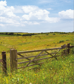 Nettleton nature reserve